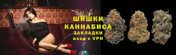 ECSTASY Белокуриха